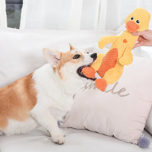 Plüsch-Quietschspielzeug für Hunde – Löwe & Dinosaurier