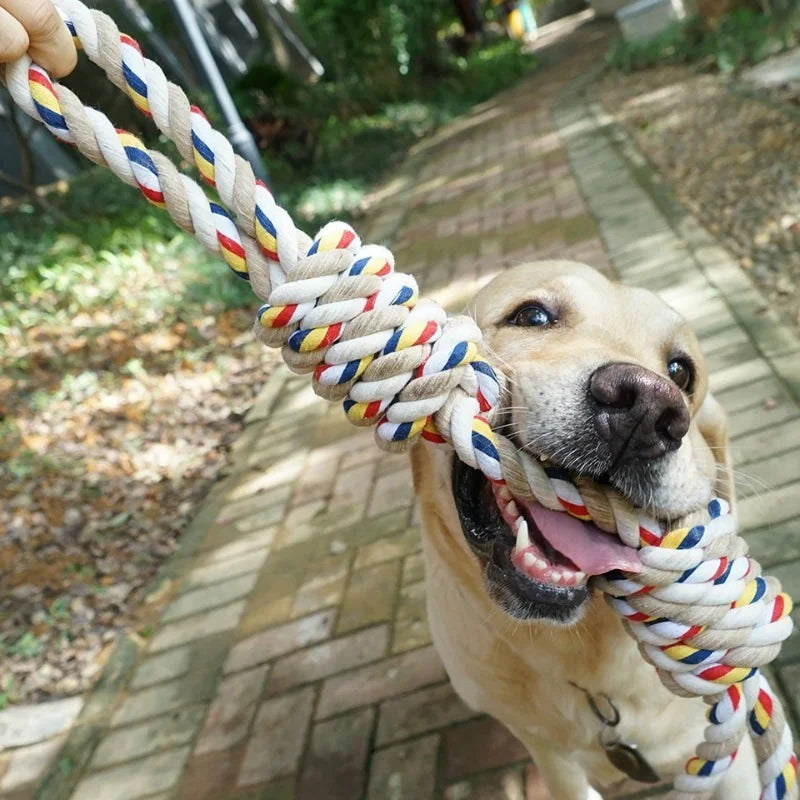 60cm Seil-Kauspielzeug für große Hunde – Zahnpflege
