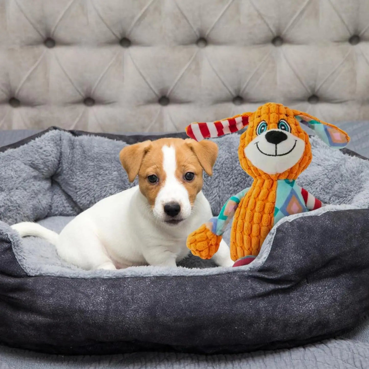 Quietsch-Kauspielzeug für Hunde – Stressabbau & Training