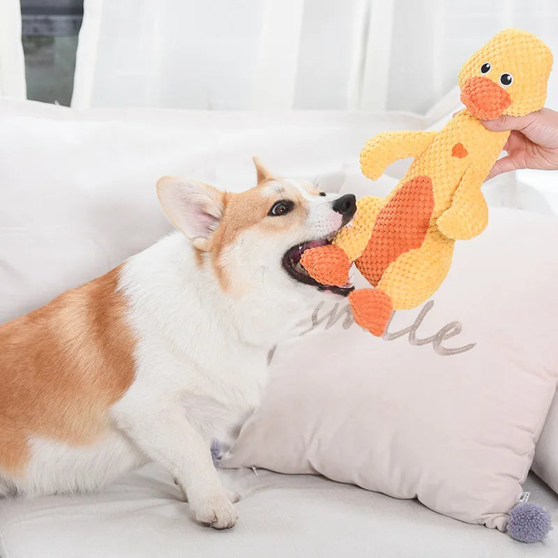 Plüsch-Quietschspielzeug für Hunde – Löwe & Dinosaurier